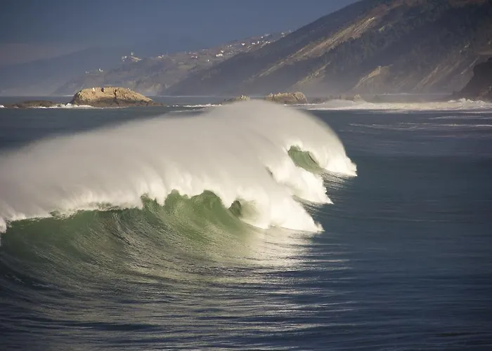 Getariano Pensión 2*