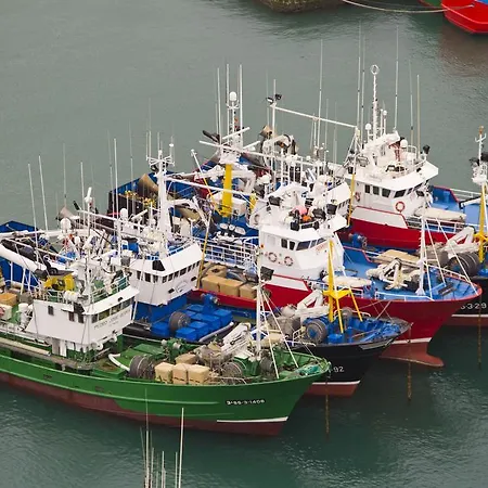 Getariano Getaria